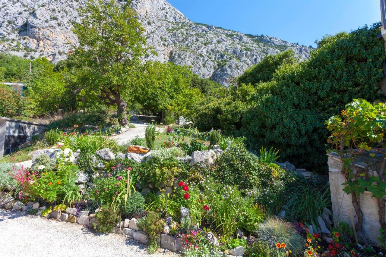 Holiday Home Lavanda Grubisic Tučepi Eksteriør bilde